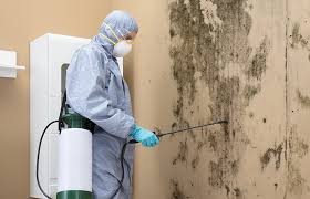 Best Mold Odor Removal Services  in Prosperity, SC